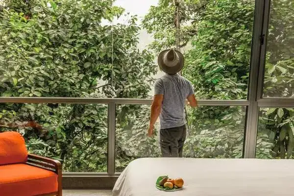 Mindo lodge balcony view morning cloud forest Ecuador mashpi lodge