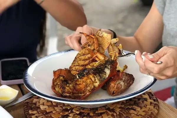 Galapagos lobster