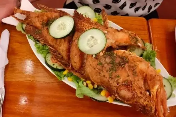 The witch fish one of the most delicious fish to eat in the Galapagos Islands