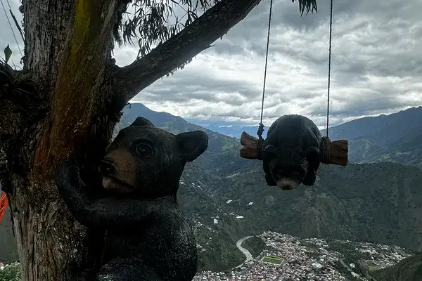 The bear swing at Casa del Arbol above Banos, Ecuador