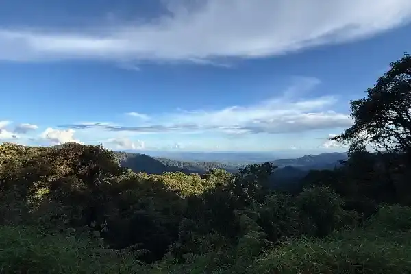 Rainforest on the edge of Puyo Ecuador in Pastaza province