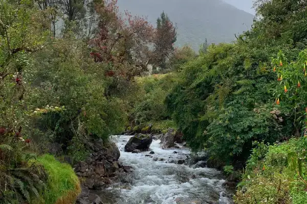 Papallacta Ecuador