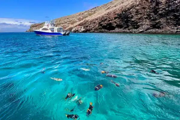 Snorkeling day tour at Pinzon Island, Galapagos — turquoise water and wildlife