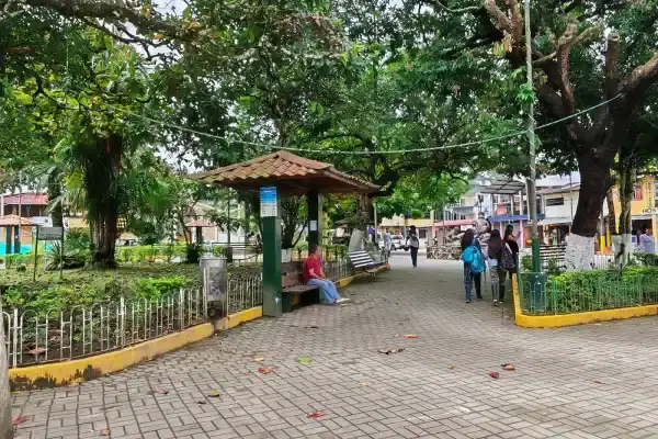 Parque central de Misahuallí donde bajan los monos capuchinos