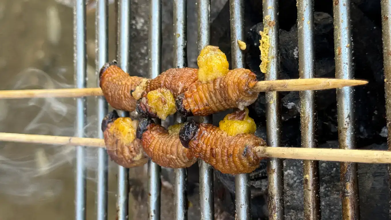 Pincho de chontacuros a la brasa en una feria de la Amazonía ecuatoriana